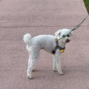 우산천길 이미지