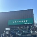 (주)우리닷컴 | 대구 수초닷컴 베타 물고기 구매후기 첫 물고기 키울 준비