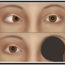 경기성모안경 이미지