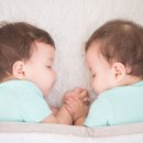 쌍둥이 이미지