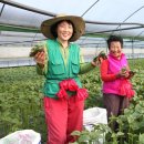 금산빌딩 이미지