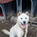 순종1농장 이미지