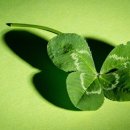 300 당구장 이미지