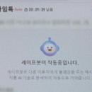 댓글 바꾼 네이버·다음…정치권 의식·풍선효과 지적도 이미지