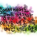 야바스 류브류(러시아어)- 영원히 사랑해 이미지