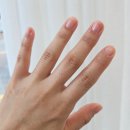 손네일(SONNAIL) 이미지