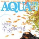 아쿠아라이프 네이버블로그