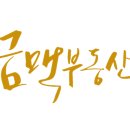 금금맥공인중개사사무소 이미지