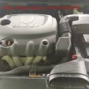 비아 매일카 이미지