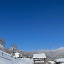 홍천산양목장 이미지