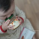 후기이유식 식단표, 돌아기 이유식준비 푸드케어 클레
