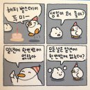 중앙레코드 | [강릉 소품샵 투어] 강릉 중앙시장 근처 소품샵 투어 - 르봉마젤 / 관동별곡 / 메리레코드 / 이발소...