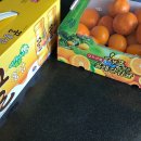 마송제일치과의원 이미지