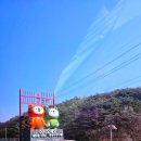 영월농협주유소 청령포점 | 강원도 여행 Day 1 영월 동해 – 청령포 단종묘 장릉 어마어마한 긴 줄에 포기한 후기