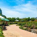 시청공원 이미지