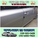 대성덴트칼라 이미지