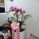 이든베이커리