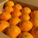 월광농장 이미지