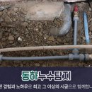 동하환경 이미지