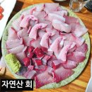풍성한회나라 | 대구 장기동 대방어 맛집 자연산 회