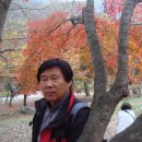노봉우 Daum카페