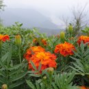 김수자농장 이미지