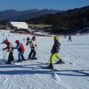 대마초등학교 이미지