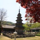 칠곡 송림사 오층전탑 이미지