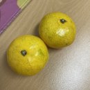 240930-241013 10월 일상 배송왔습니다. 안시켰는데요? 그냥 받으세요