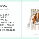 준피티샵 이미지