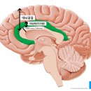 성화상회 - 중구 큰장로26길 32 | 성화상회
