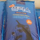 도그피아 이미지