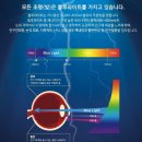 다비치안경 제천점 이미지