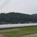 음지경로당 이미지