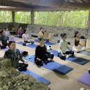 숲의 마음 이미지