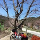 보원농장 | 서산아라메길 1구간 자전거여행 &amp; 가야산 용현자연휴양림 자전거 캠핑 2. (2014.04.06)