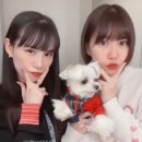 아짱