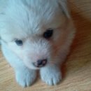 선창민박 이미지