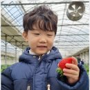 즐거운태권도장 이미지