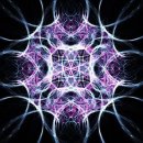 헤르시나 이미지