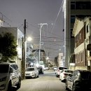 순천-14호 이미지