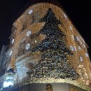 도찬1 | 이스탄불 카디쿄이 숙소 디모라호텔 후기