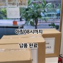 샛별중학교앞 | 분당 샌드테이블l 수내동 샛별중학교 행사간식 /7천원대 구성 납품 후기(사과에그샌드위치+과일)