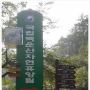 자연누리숲학교협동조합 네이버블로그