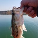 스피드카 이미지