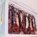 신진도수산