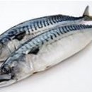 진동물병원 이미지