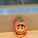 순수 프로젝트 | 노원 롯데시네마 리클라이너 광음시네마에서 [프로젝트 헤일메리] 아이와 로키 홀릭 관람 후기