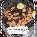 동탄대로5길 | 동탄 회식 고기집 7명이 몰려간 솔직 후기! 고기어때 동탄 회사돈회사산 🥩
