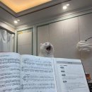 신신양꼬치 이미지